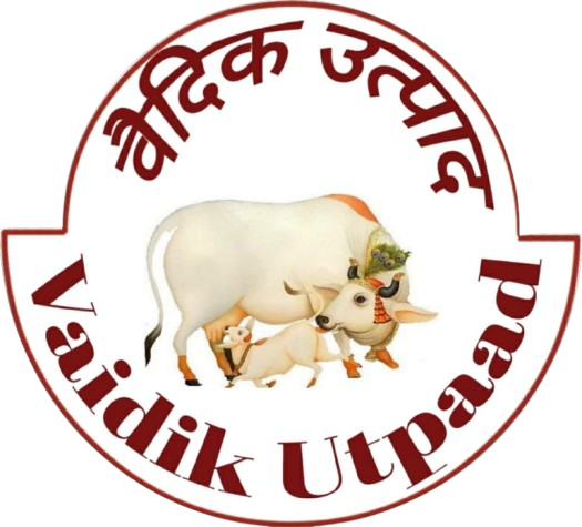 Curd Churner Machine