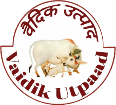 Curd Churner Machine